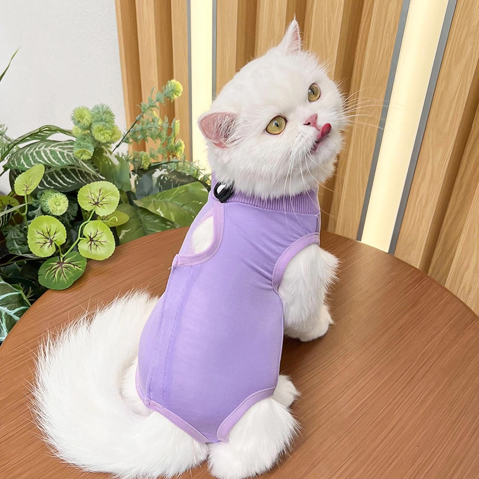 2PCS Gilet de Récupération de Chat,Body Chat Post Opératoire Stérilisation, Combinaison de Récupération pour Chat Anti Léchage， Protection Post-Chirurgie, Contre Les Maladies de Peau -Violet + Bleu(M)