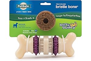 PetSafe Busy Buddy Bristle Bone: Interactive and Durable Dog Toy for Aggressive Chewers