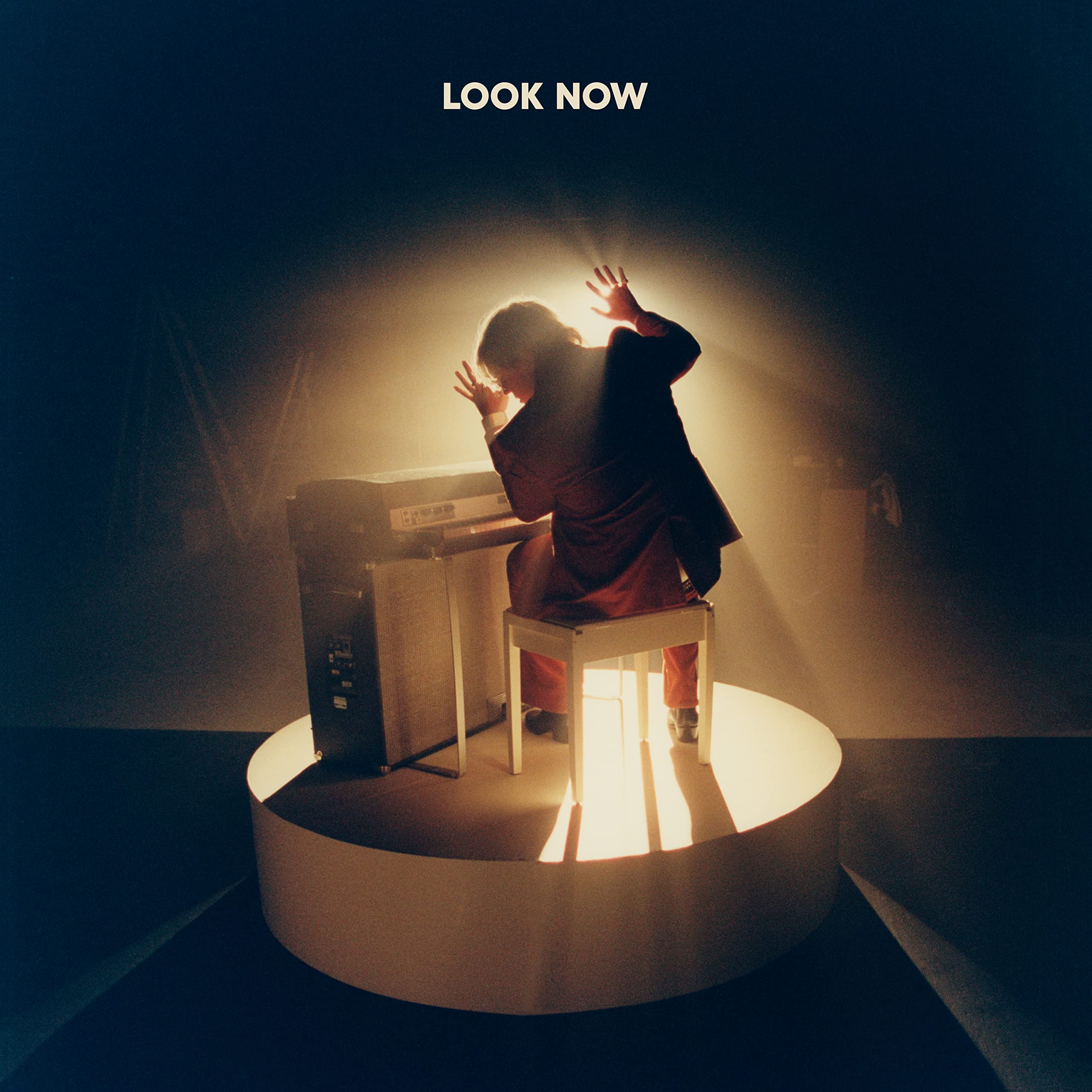 LOOK NOW [VINYL]