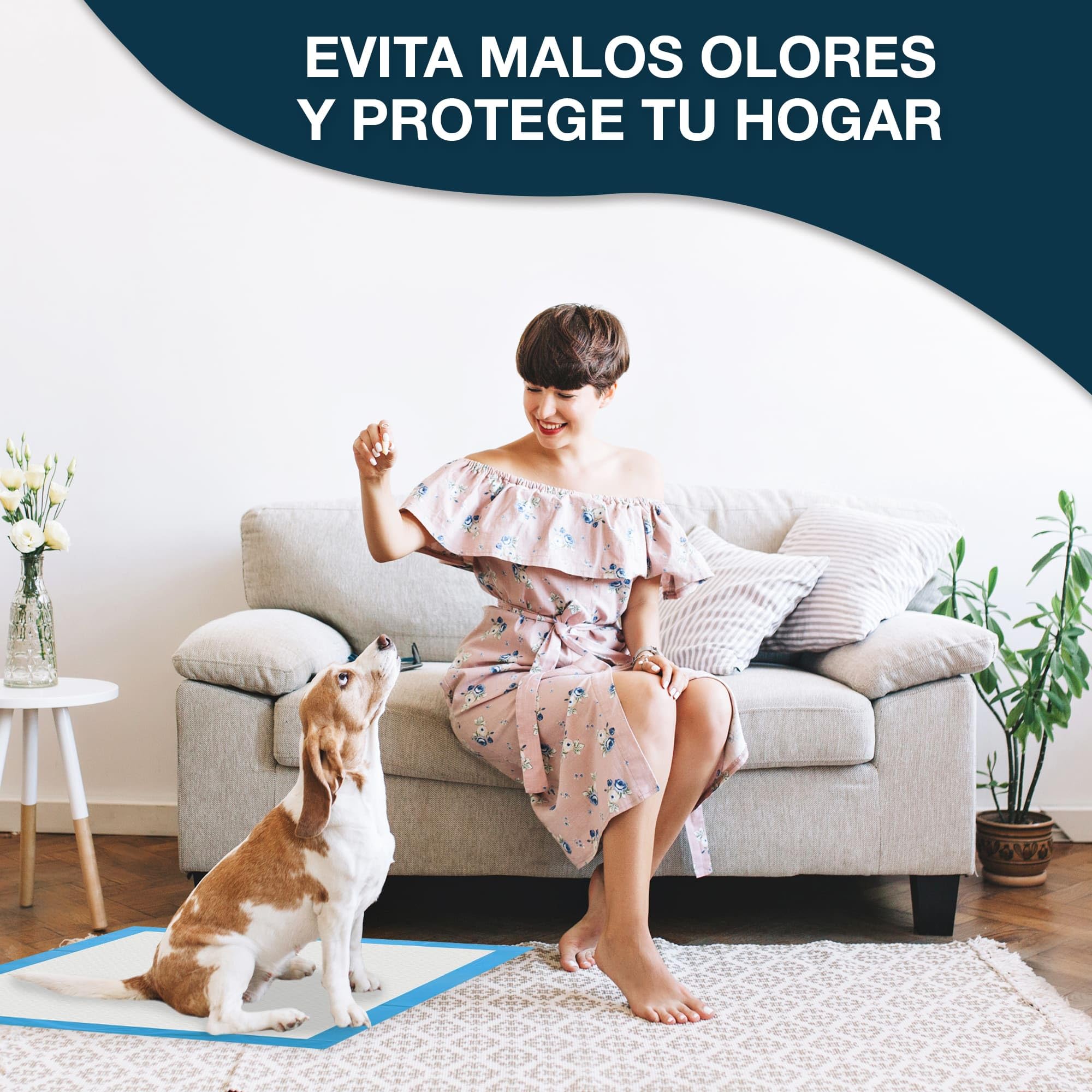 Empapadores Perros 60x60 cm CIVINZON 100 Unidades Ultra absobente de micciones, Alfombrillas Higienica Desechables para Mascotas, Resguardos para Cães, Resistente, Atrayente y a Prueba de Fugas