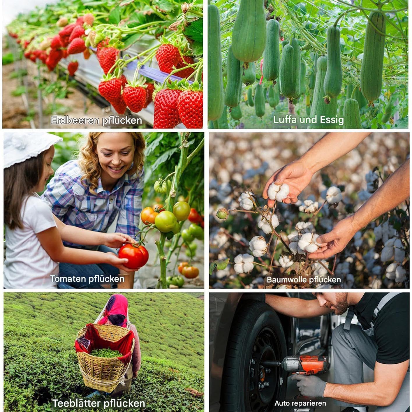 Carrello da Giardino con Sedile Carrello Sgabello Sedia Seduta | Sedia per Giardinaggio con Ruote Sgabello Carrello Rotante per Esterno, Diserbo, Prato, Campeggio, Terrazza, Officina