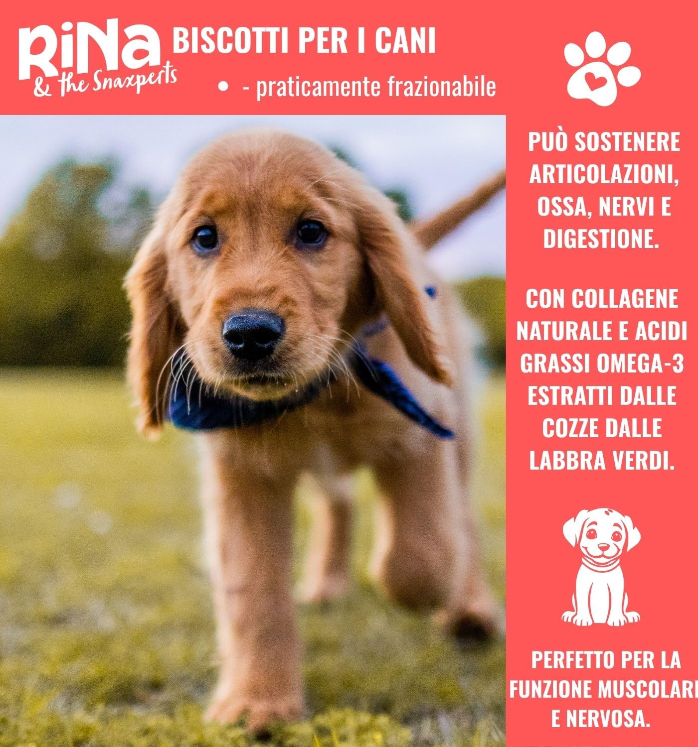 RiNa - Dolcetti per cani al forno delicatamente con cavallo e cocco, per ossa, denti e equilibrio minerale, 6 x 300 g, facili da porzionare