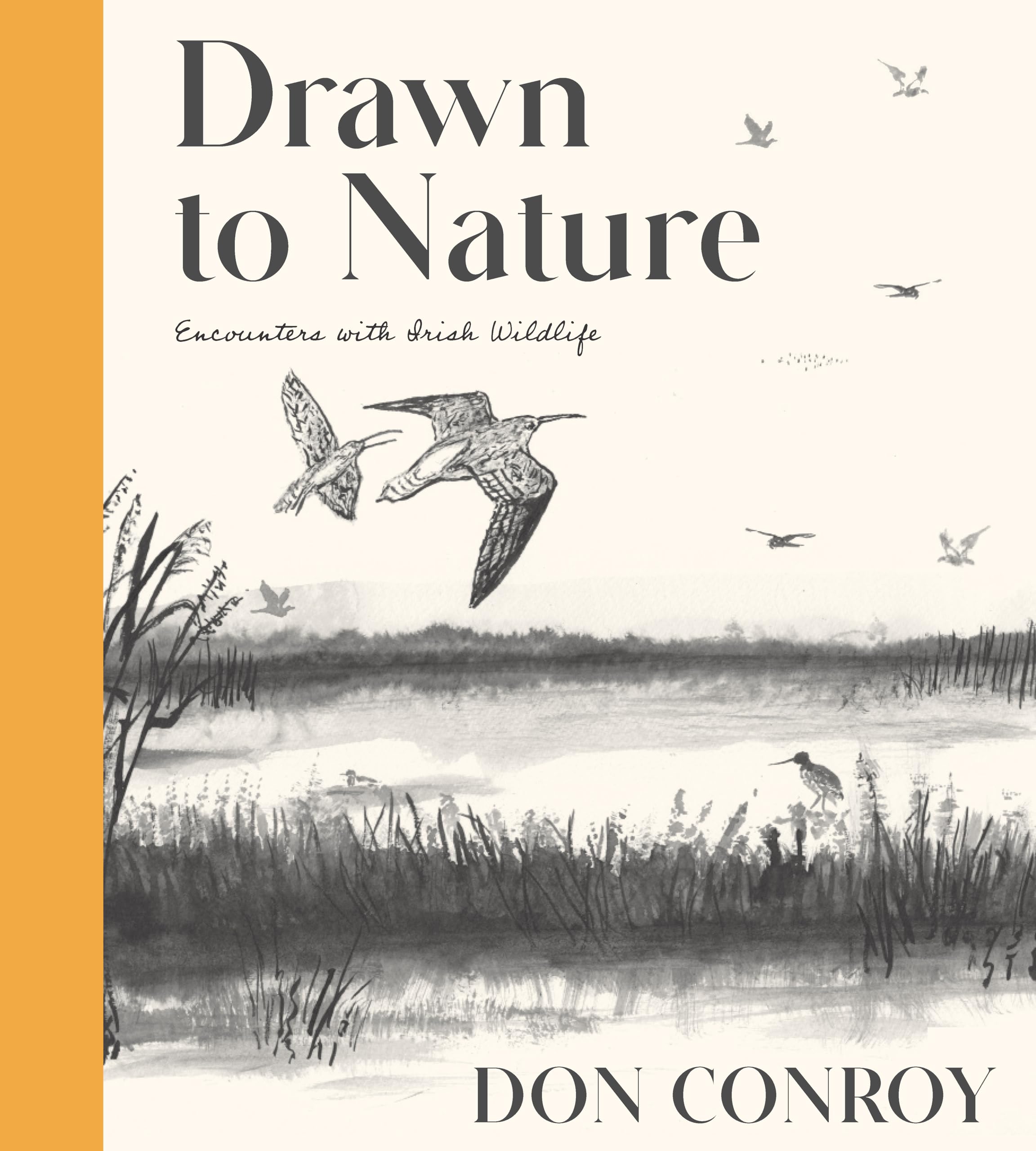 Drawn to Nature: Encounters with Irish Wildlife