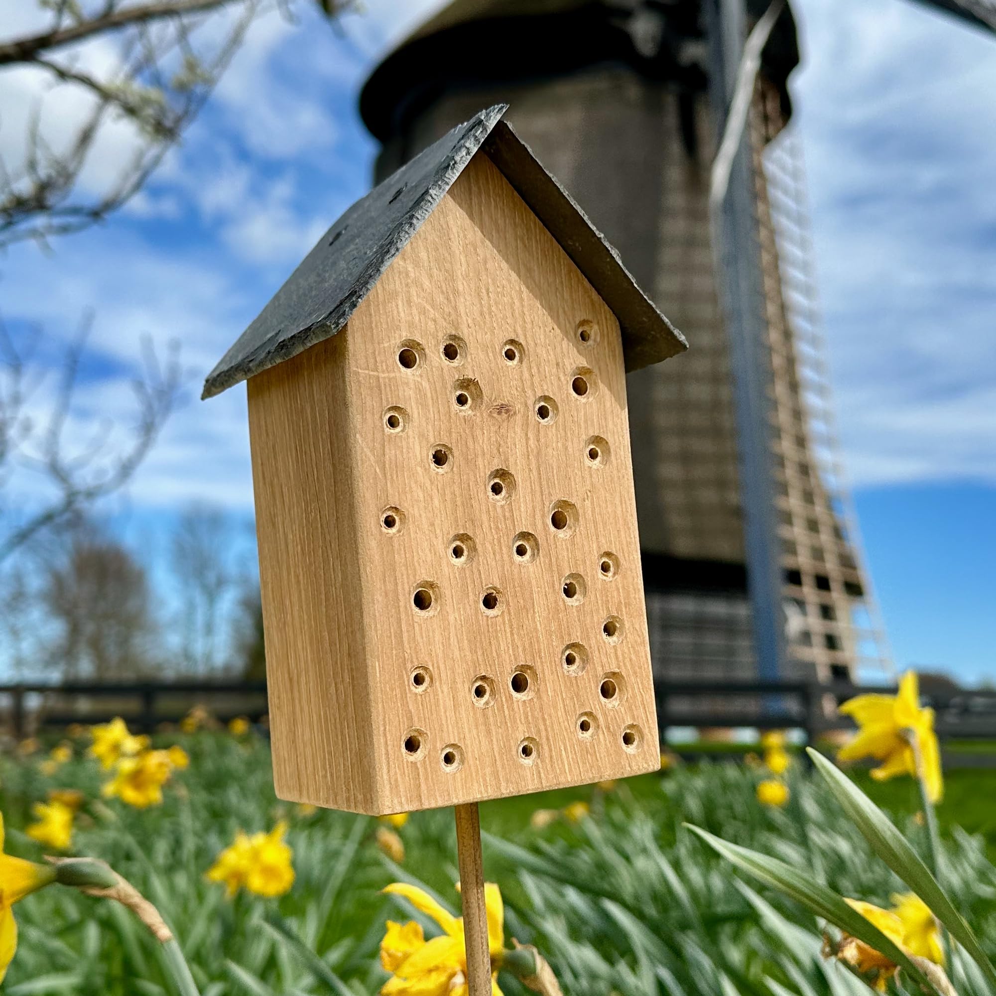 GARTENETAGE Geschenkset Bienenoase – Wildbienenhotel aus Eichenholz mit Schieferdach & Blumenwiese Mischung – Perfekt für Garten & Balkon – Nachhaltige Nisthilfe für Bienen & Bestäuber