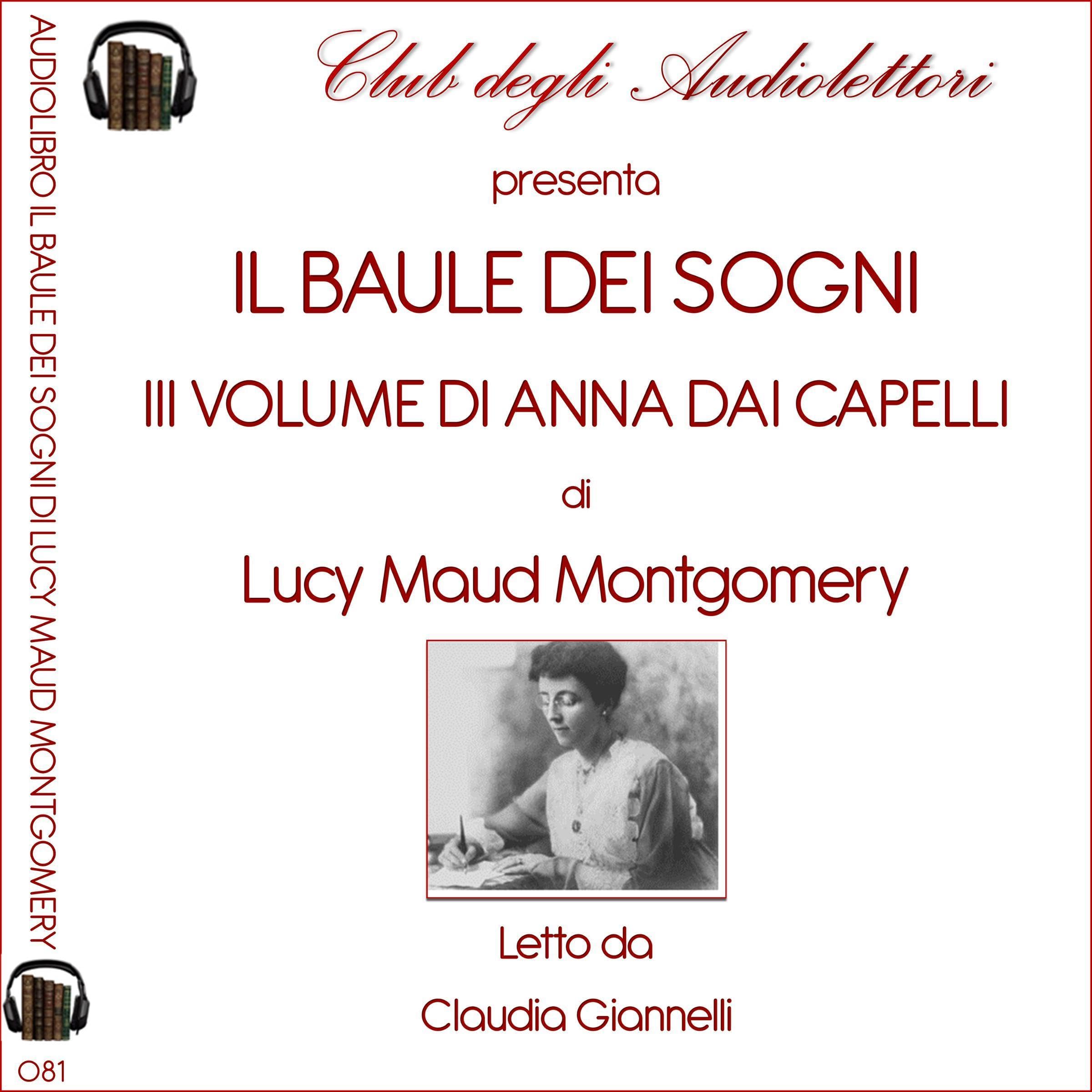 Cover art for Il baule dei sogni