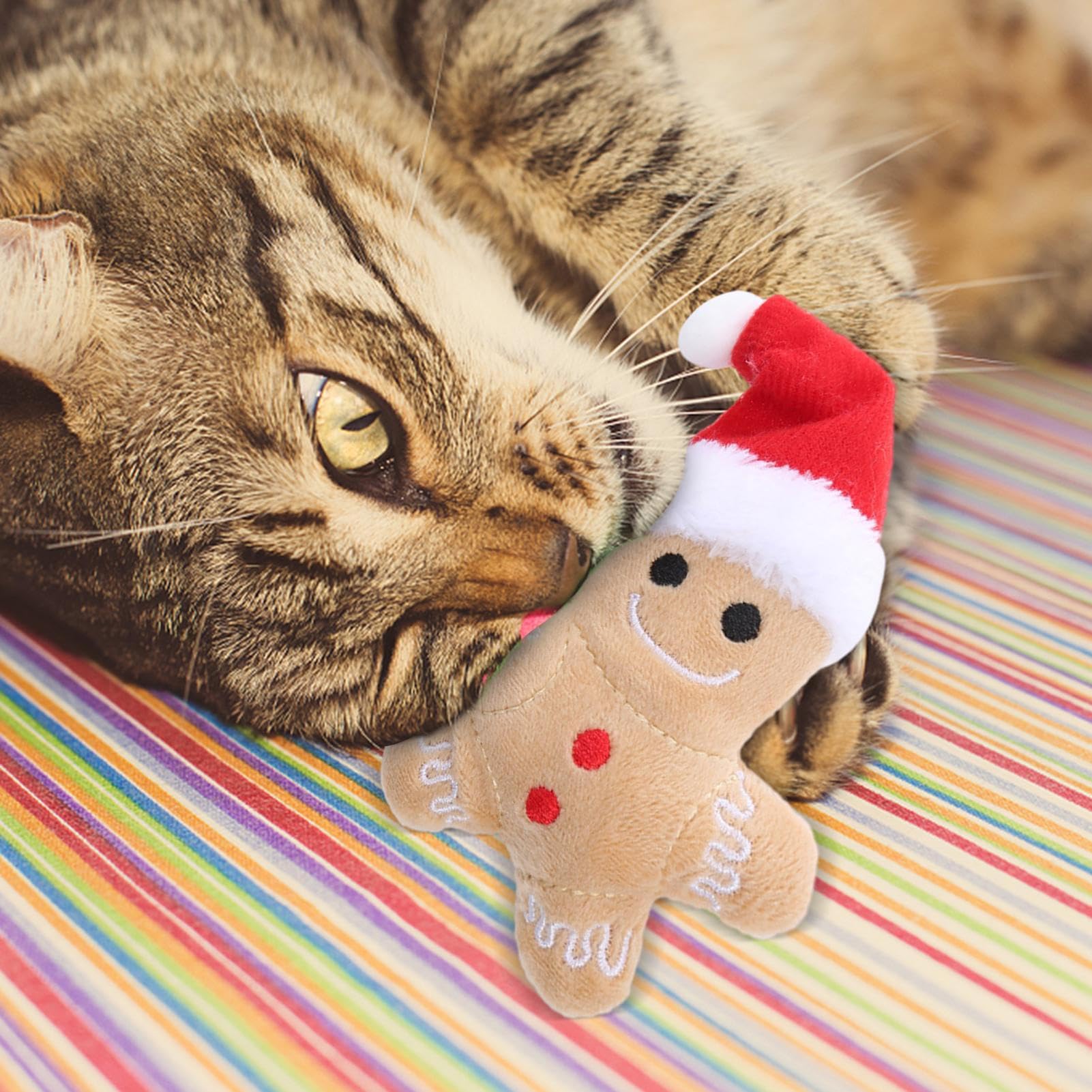 Kerst