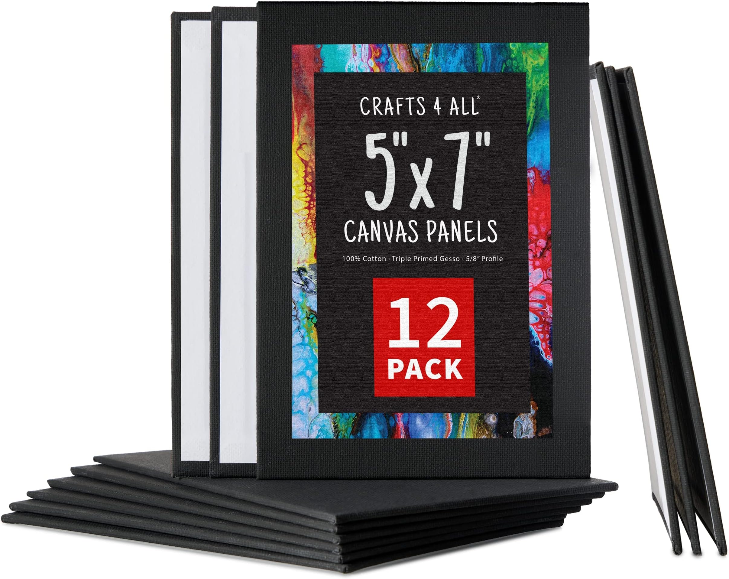 Mr. Pen Canvas Panels, 2 Pack, 9x12 Inches, Triple Primed