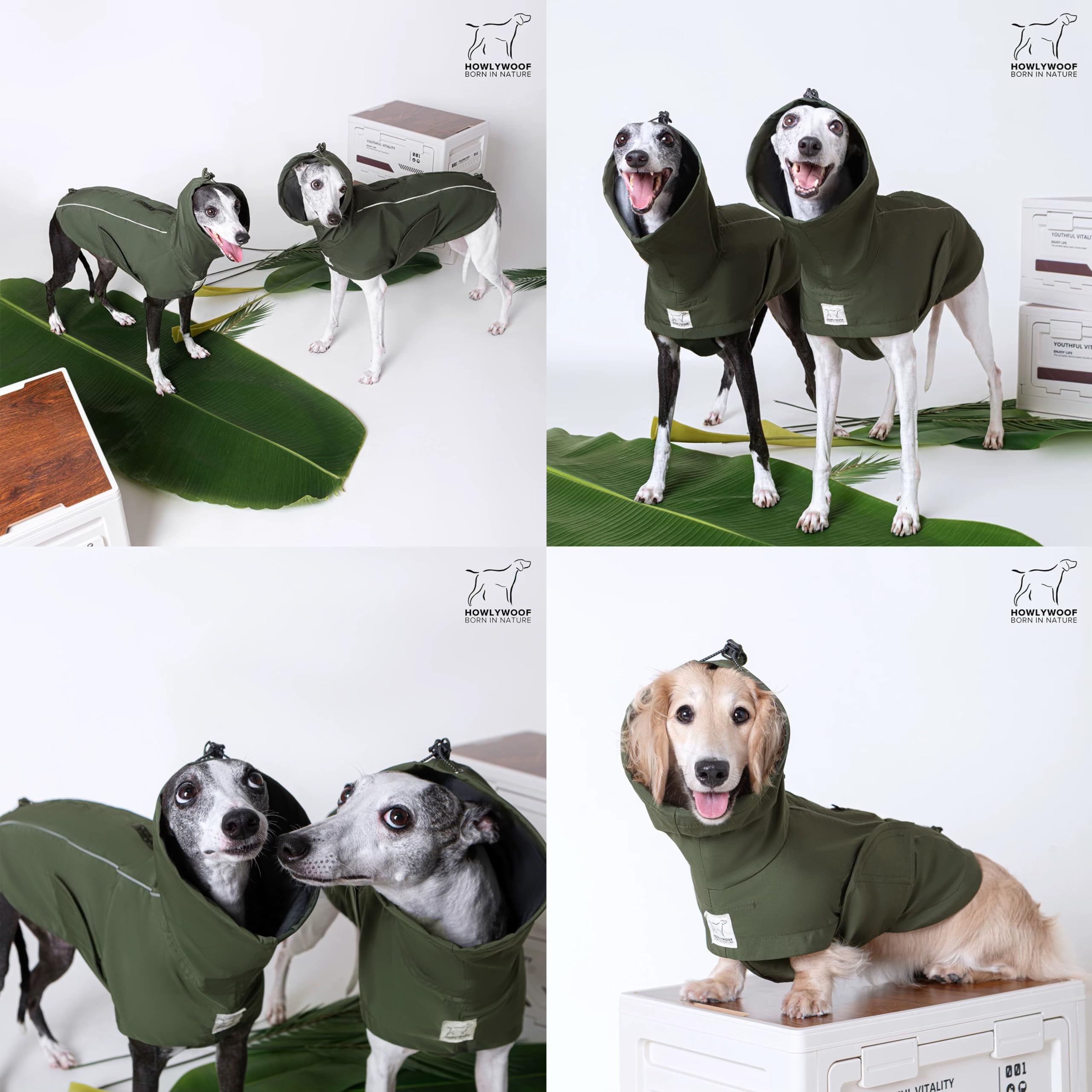 Impermeable para perro, impermeable con capucha para perros pequeños, medianos y grandes, chaqueta impermeable ajustable para perros (08 (pecho 26-30 pulgadas, espalda 22.5-25.5 pulgadas)