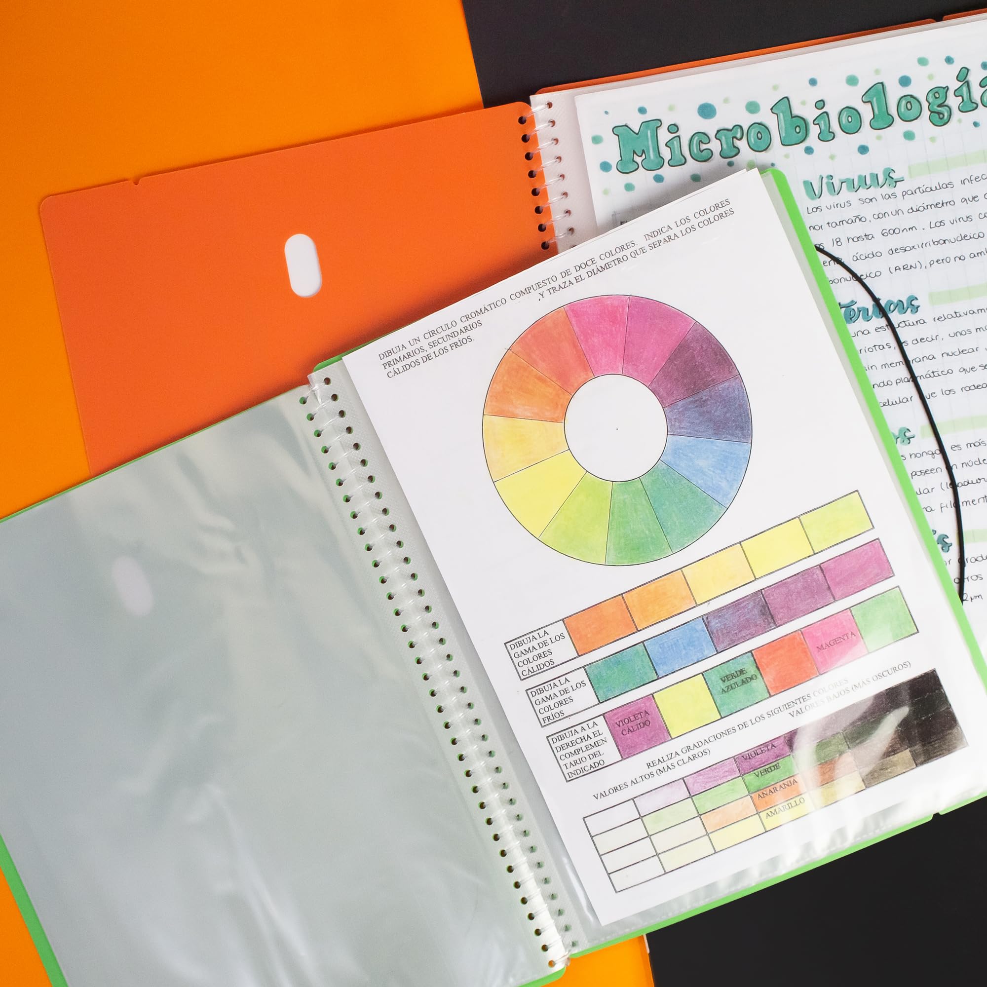 Starplast 182012ma, Flexible Spiral Folder, File Folders, Book Folders with 20 Transparent Cases, Smooth, A4 Folder - Image 3