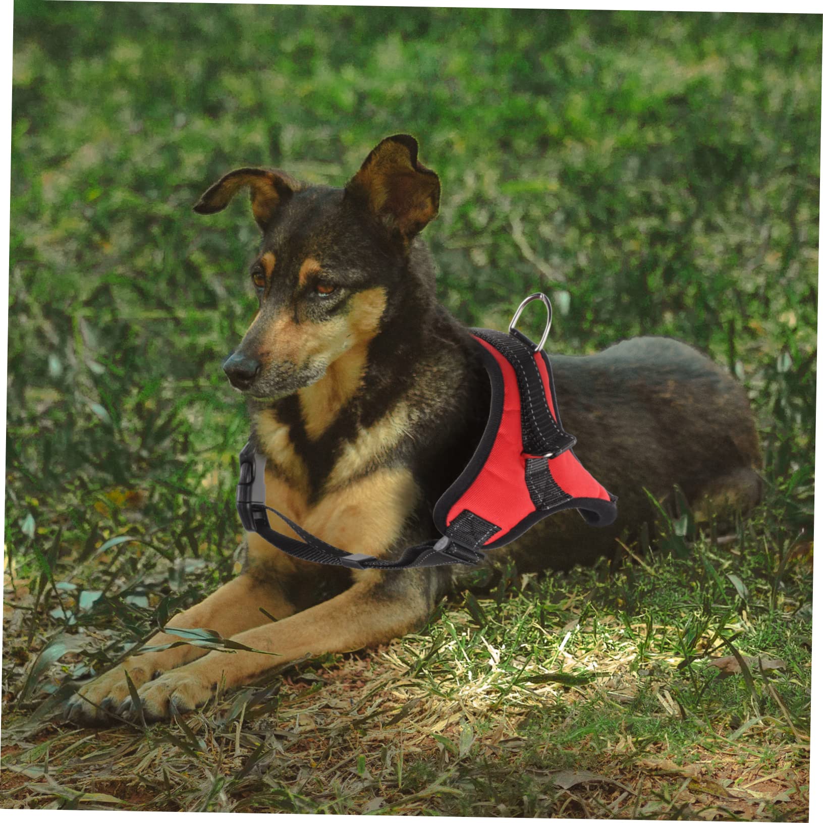 Kisangel Conjunto De 4 Correas Reflectantes De Malla Transpirable para Perros Resistentes Al Desgaste Y Ajustables para Pasear A Tu Mascota.