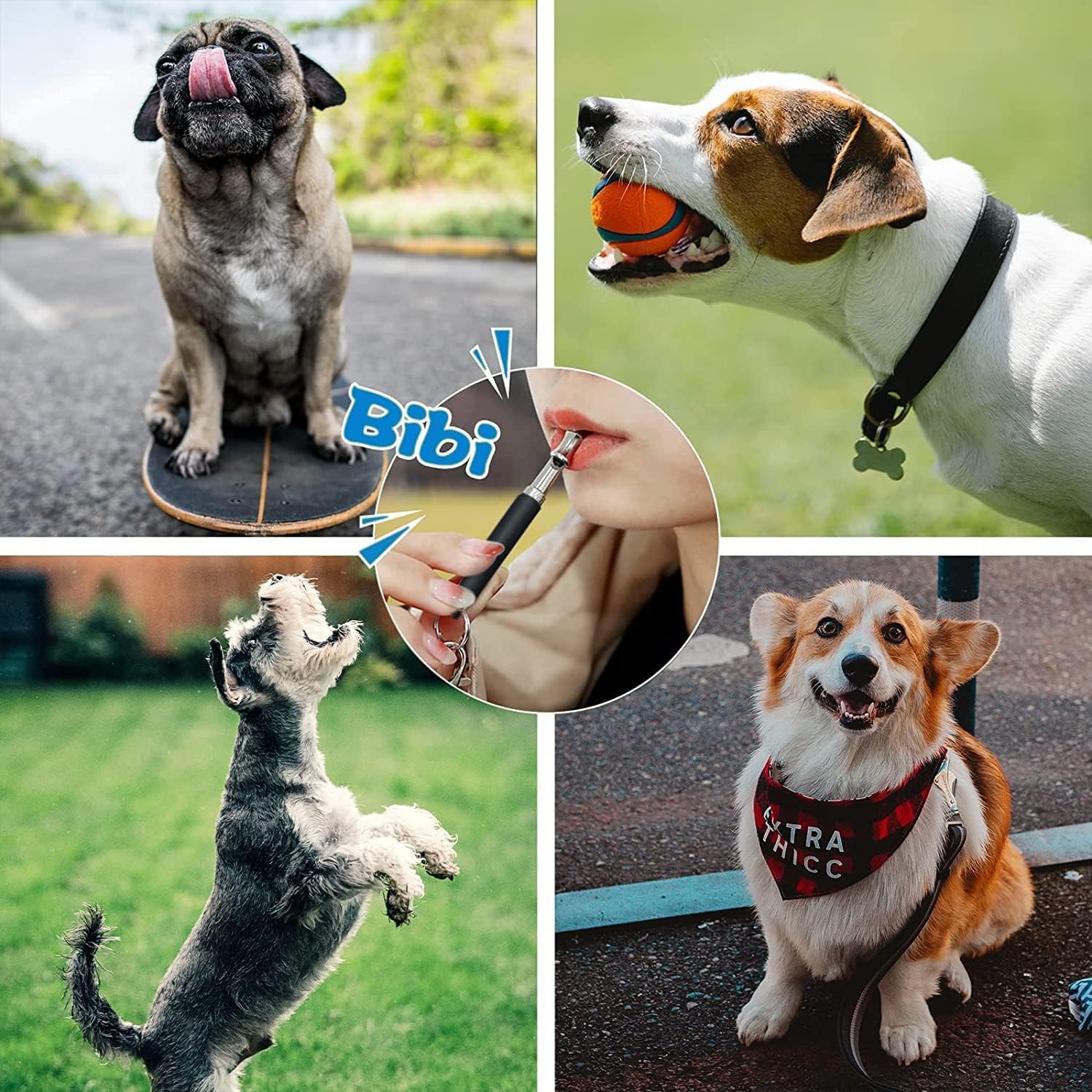 Hundepfeife, 2025 Upgrade, leise Hundepfeife, verstellbare Schlepppfeife für Training, professionelle Rückruf-Hundetrainingspfeife, mit Umhängeband (A-2 Stück)