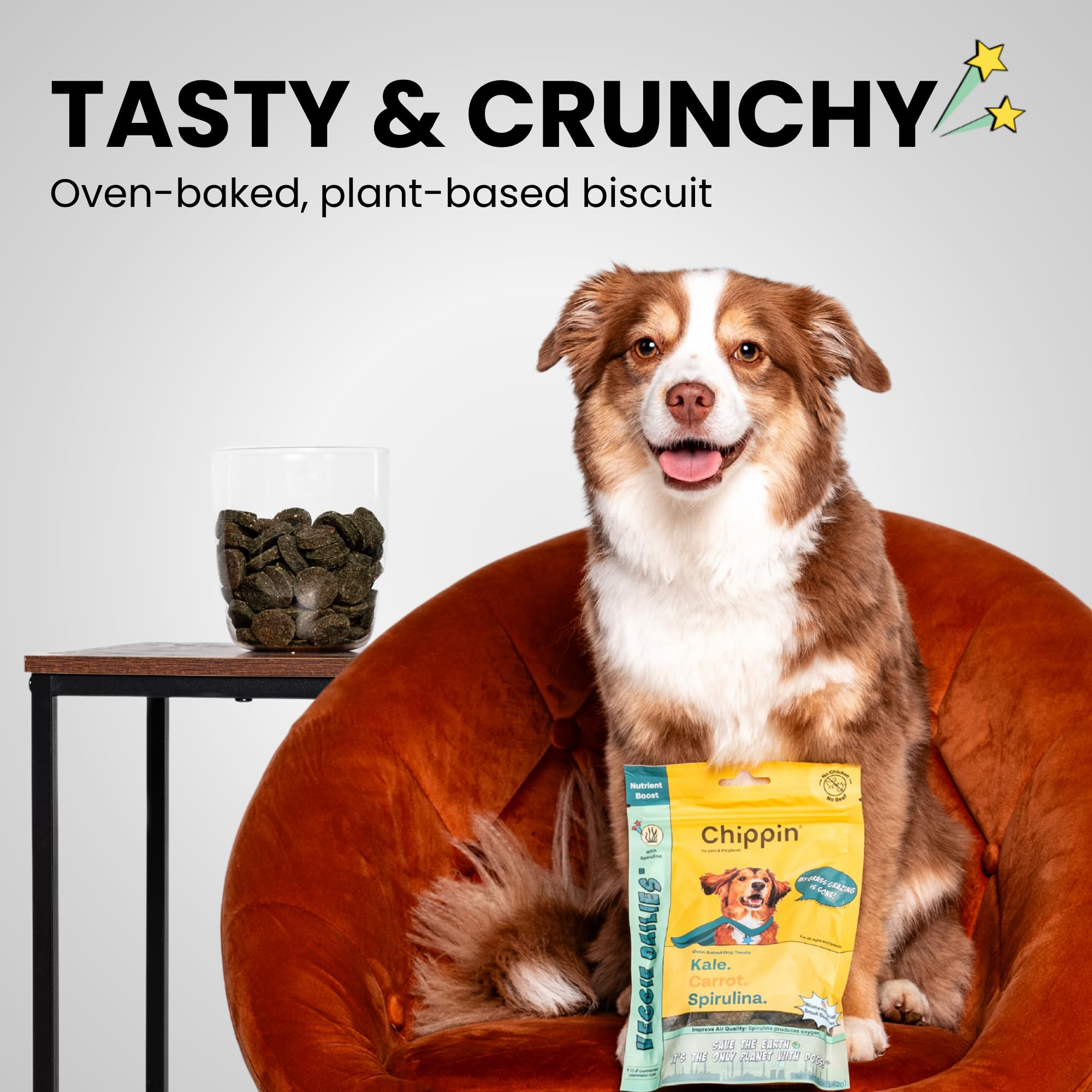 Chippin Hundeleckerli | Gesunde knusprige Hartkekse mit Hafer, Grünkohl, Flachs & Spirulina | Vegane Leckerlis für kleine, große Hunde | Welpen | backofengebacken mit natürlichen Zutaten |