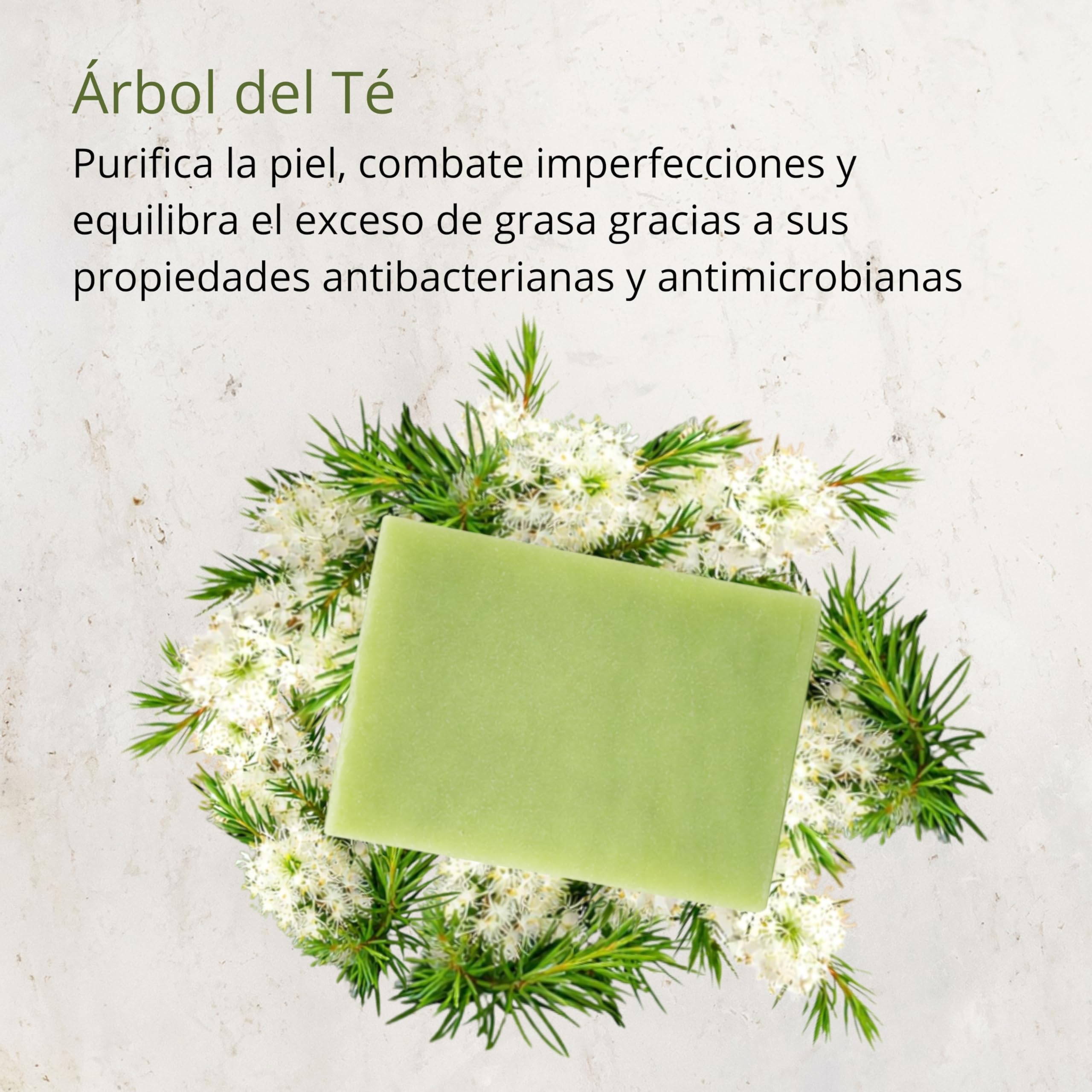 Savon Tea Tree avec huile d’olive 100 g – savon solide corps et visage, cosmétique naturelle pour peaux grasses et mixtes, idéal pour la routine de soin au quotidien