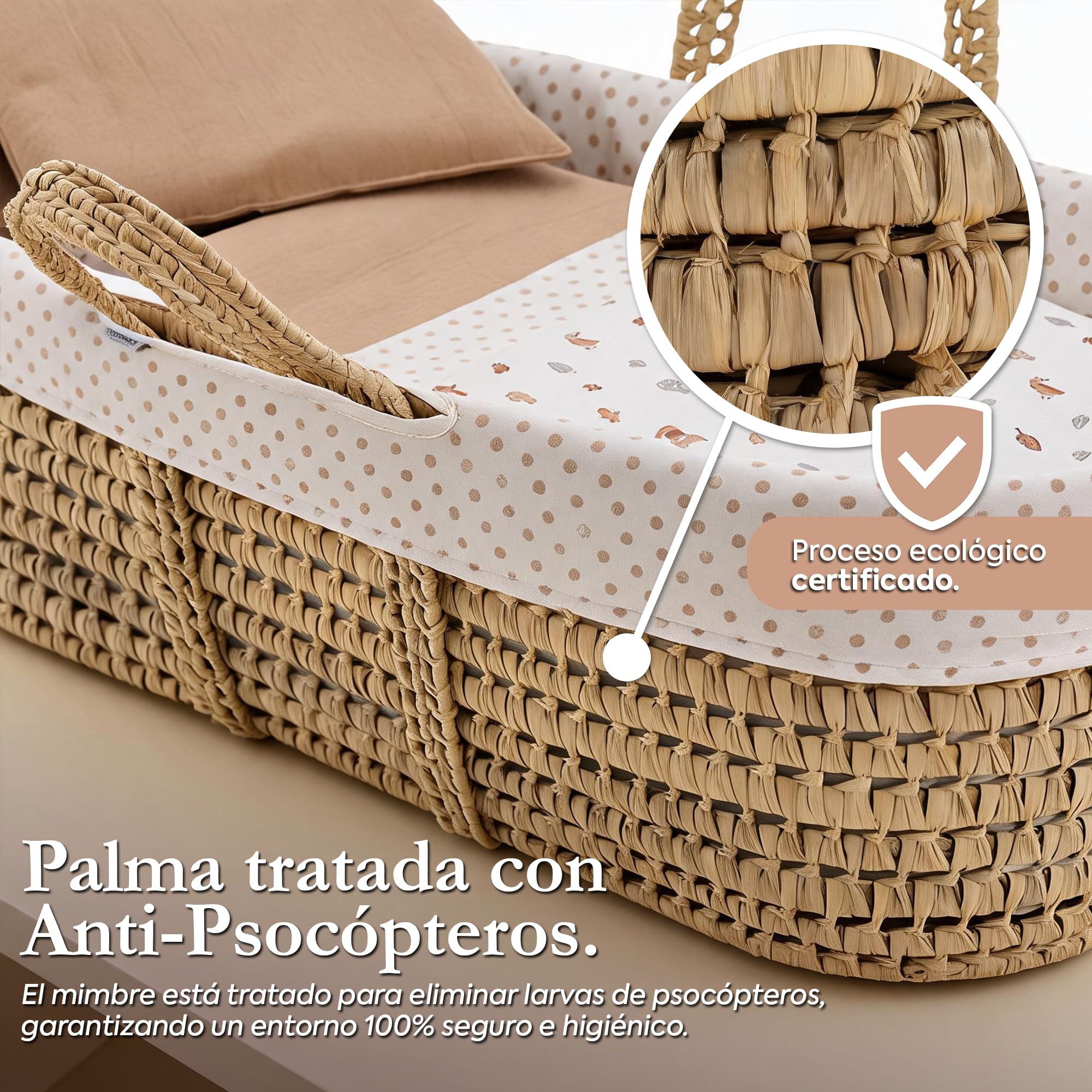 Cambrass Moises de Palma UNE Completo para Bebe Recien Nacido con Vestidura Acolchada y Colchon de Seguridad Higienica en Palma Tratada 39x80x25 CM Ardi Verde.