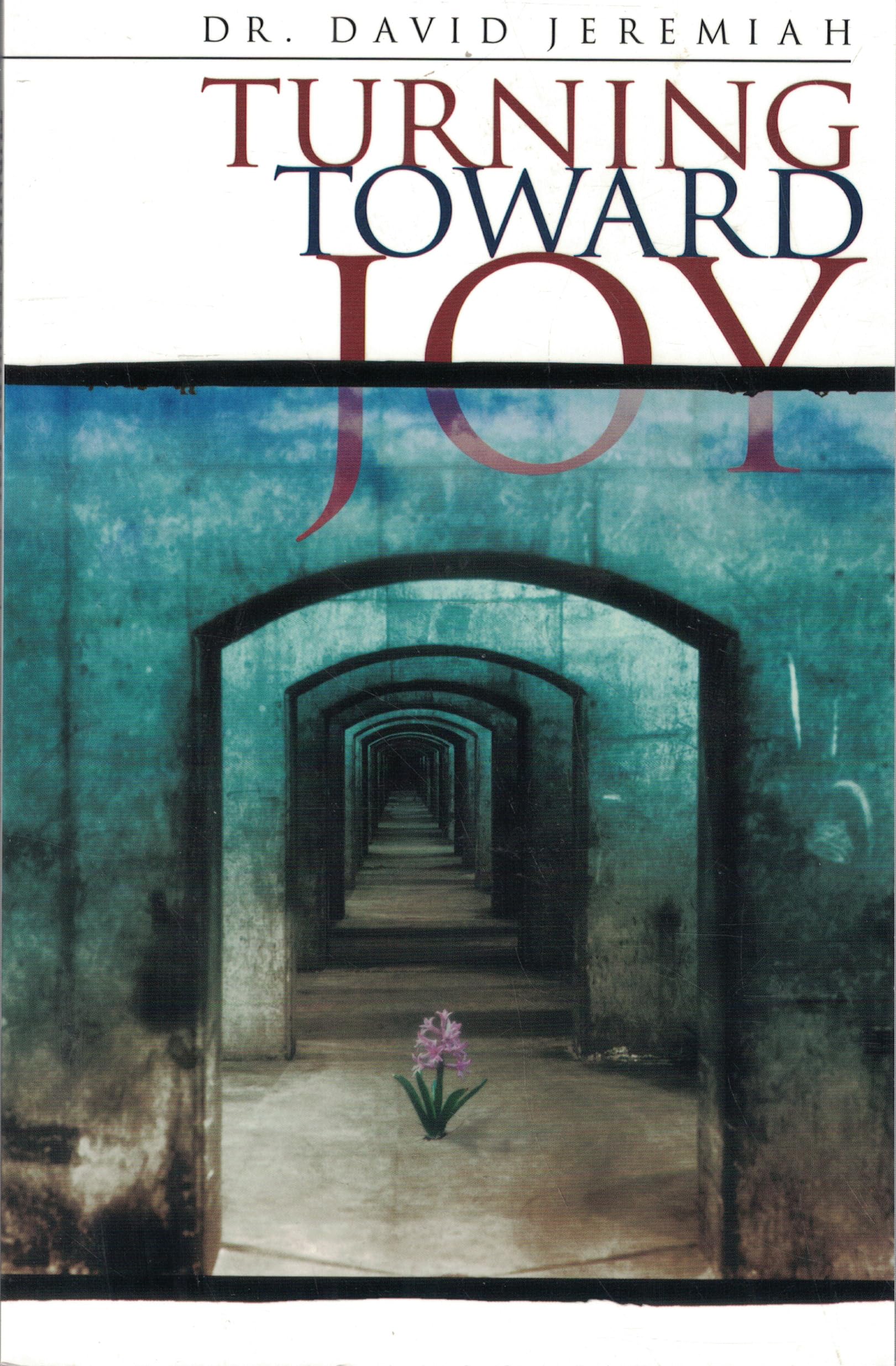 Buy Turning Toward Joy: Discover a Happiness That Circumstances Cannot Change — BookShops.in