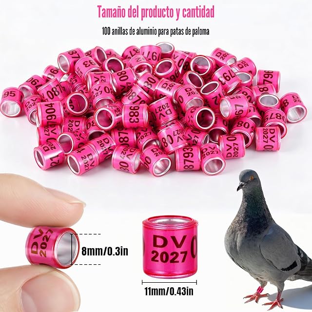 Foto 2 de 7 de 100 Anillos para Palomas, de Aluminio, Multicolor, para identificar Las Patas, de plástico