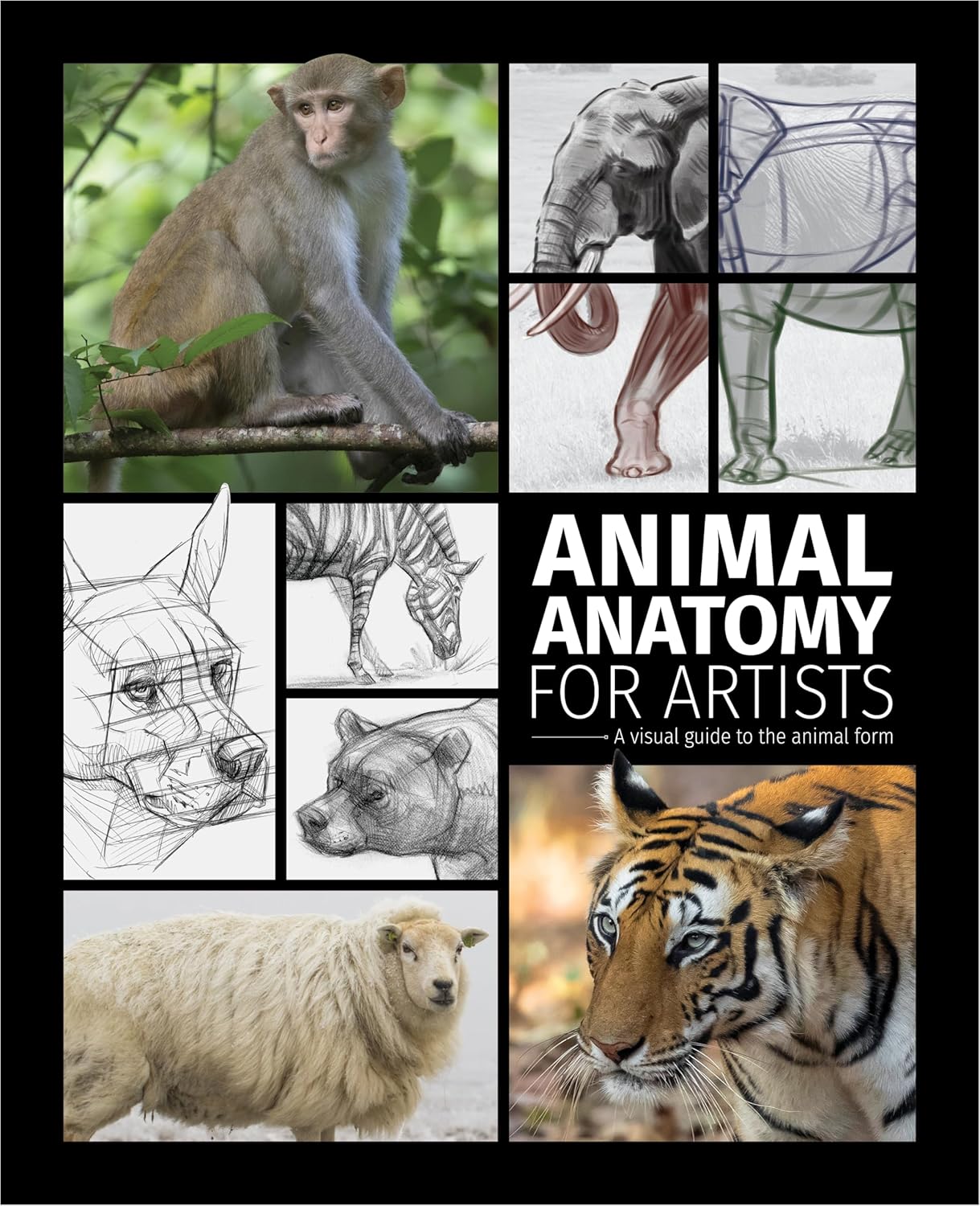 Animal Anatomy for Artists: A visual guide to the animal form      Hardcover – April 29, 2025
