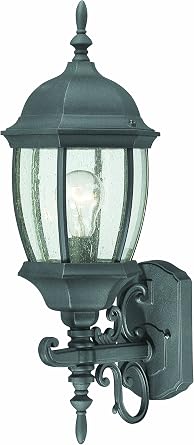Thomas Lighting SL92257 Covington Outdoor Wall Lantern, Black