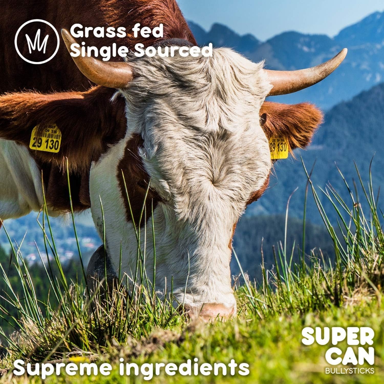 Supercan Bully Sticks for Dogs 12" (20 Count) -100% Natural Farm Raised Beef Dog Chews. Free Range Grass Fed Non-GMO Treats for Dogs