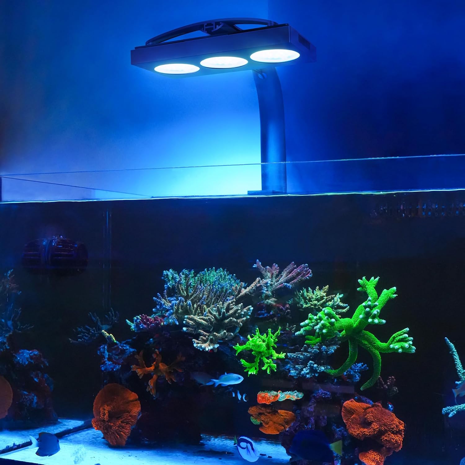 NICREW HyperReef Gen 2 banner with an aquarium setup.