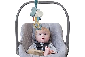 Itzy Ritzy Interactive Hanging Car Seat Toy