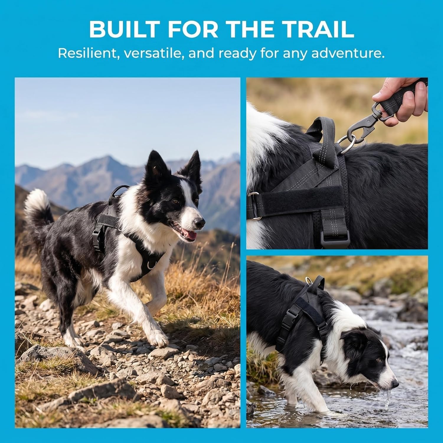 Guinzaglio per Cani Anti Tiro Regolabile Pettorina Gilet Riflettente in Nylon con Maniglia Facile per Controllo Comodo libertà Stretto per Cani Medi Piccoli e G, # B, XL