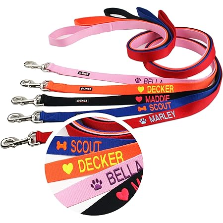 personalized dog leashes bulk
