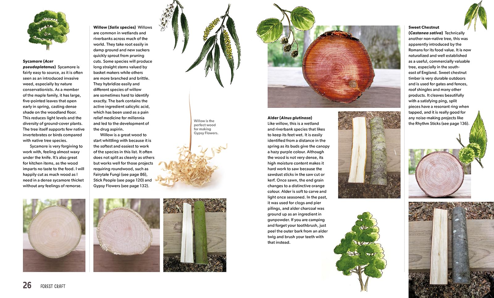 Forest Craft: A Child's Guide to Whittling in the Woodland