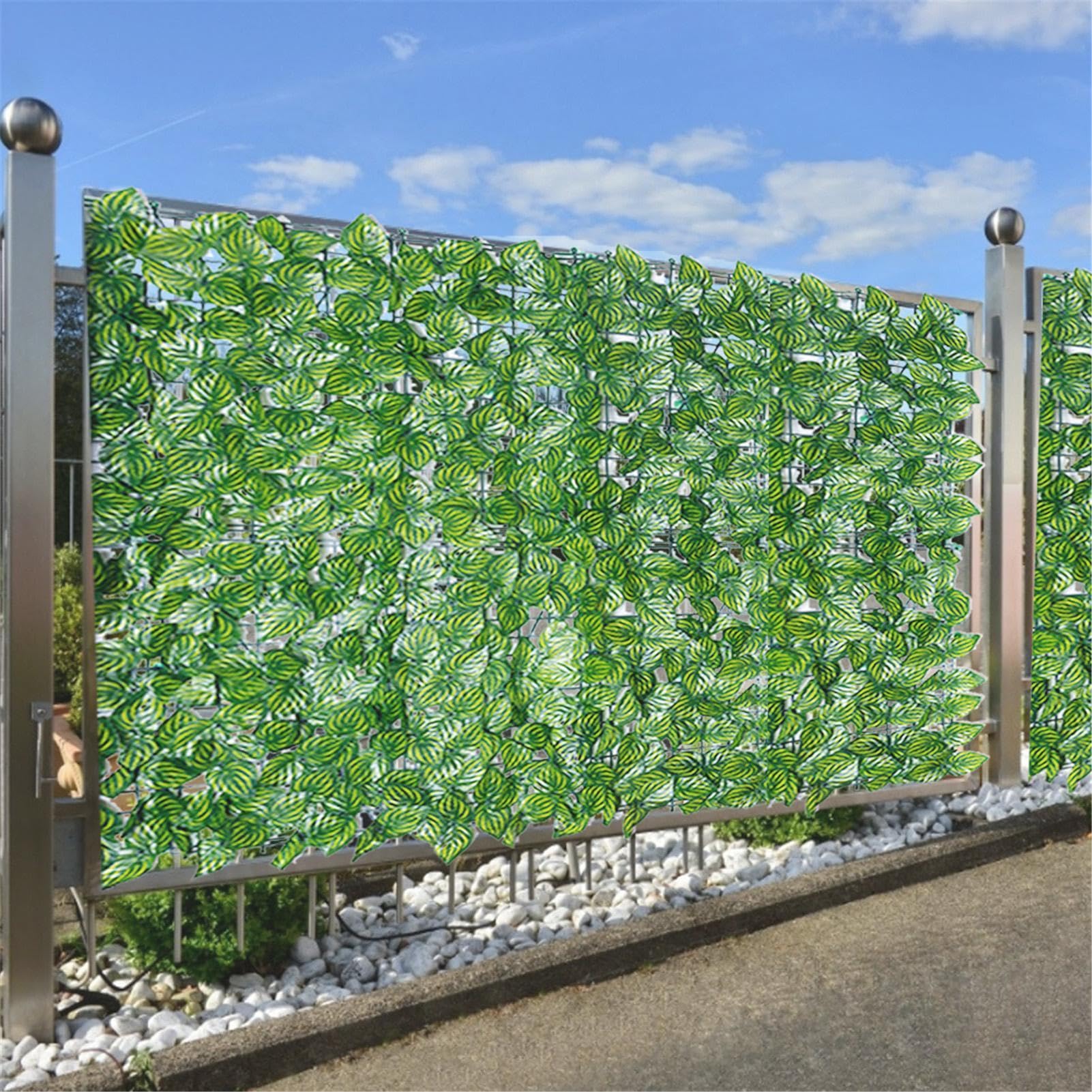 efeutute silvery ann Pothos Silvery Ann  Riverdene Garden Centre