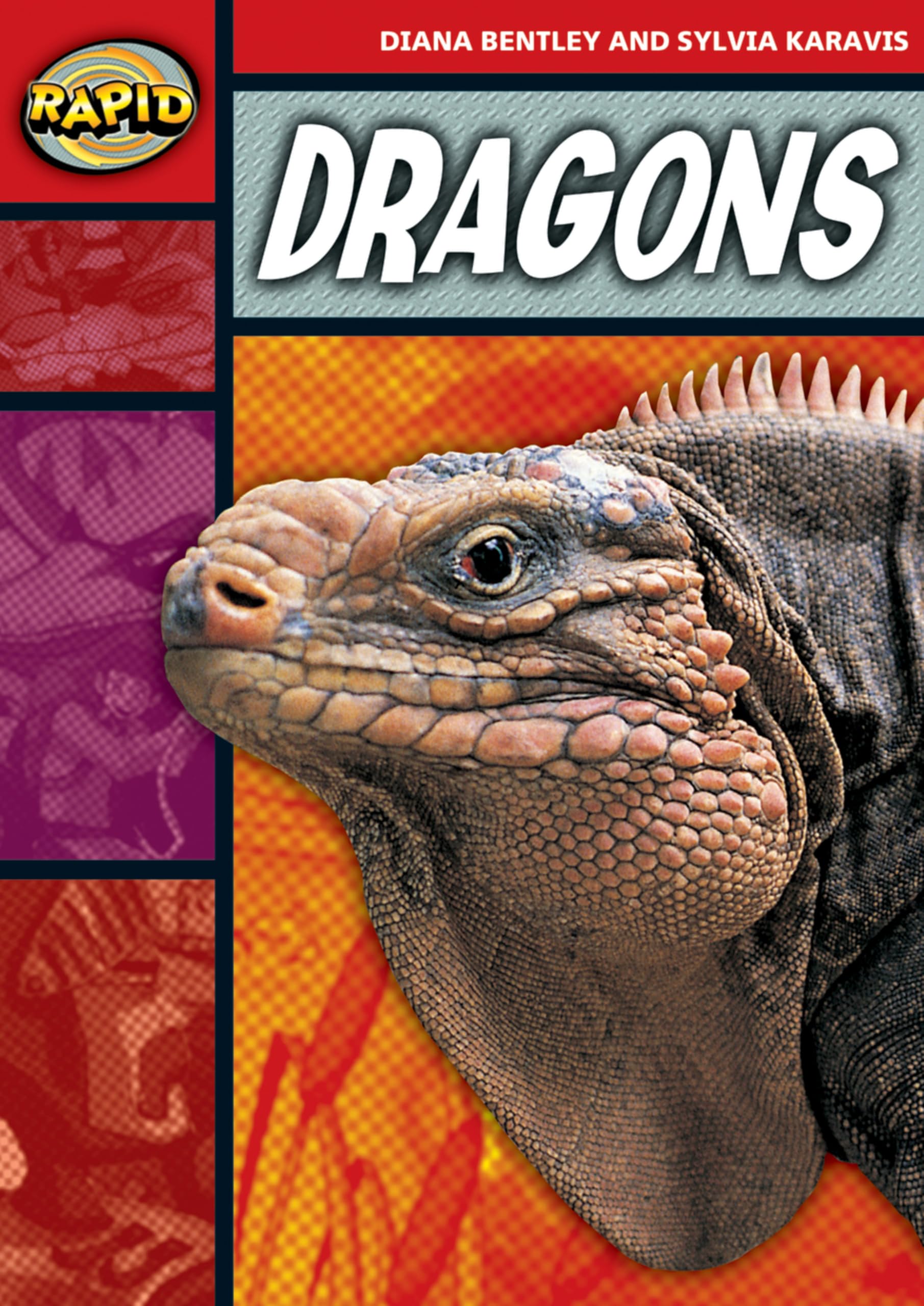 Rapid Reading: Dragons (Stage 2, Level 2B)