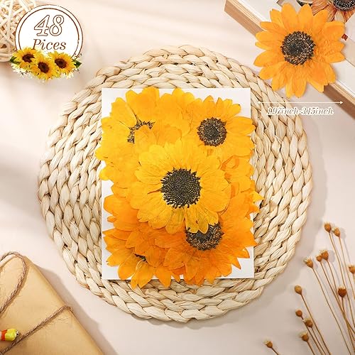 Miniatura 2 de 48 piezas de girasoles secos prensados de otoño para manualidades, mini girasoles, pétalos, flores secas amarillas prensadas para moldes de resina,