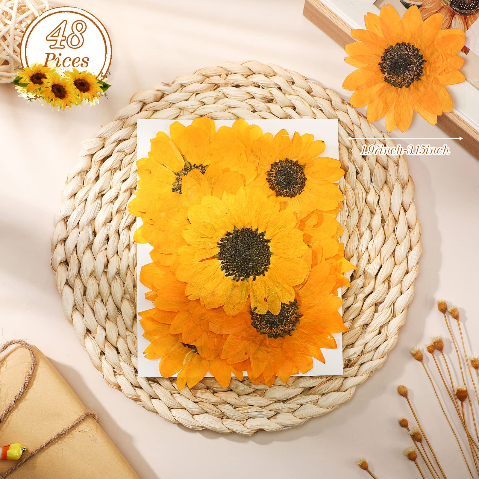 Gepresste Blumen zum Basteln, getrocknete, gepresste Sonnenblumen für Harz, Mini-Sonnenblumen, echte Natur, getrocknete Sonnenblumen, Großpackung, gelbe getrocknete Sonnenblumenblätter für Schmuck