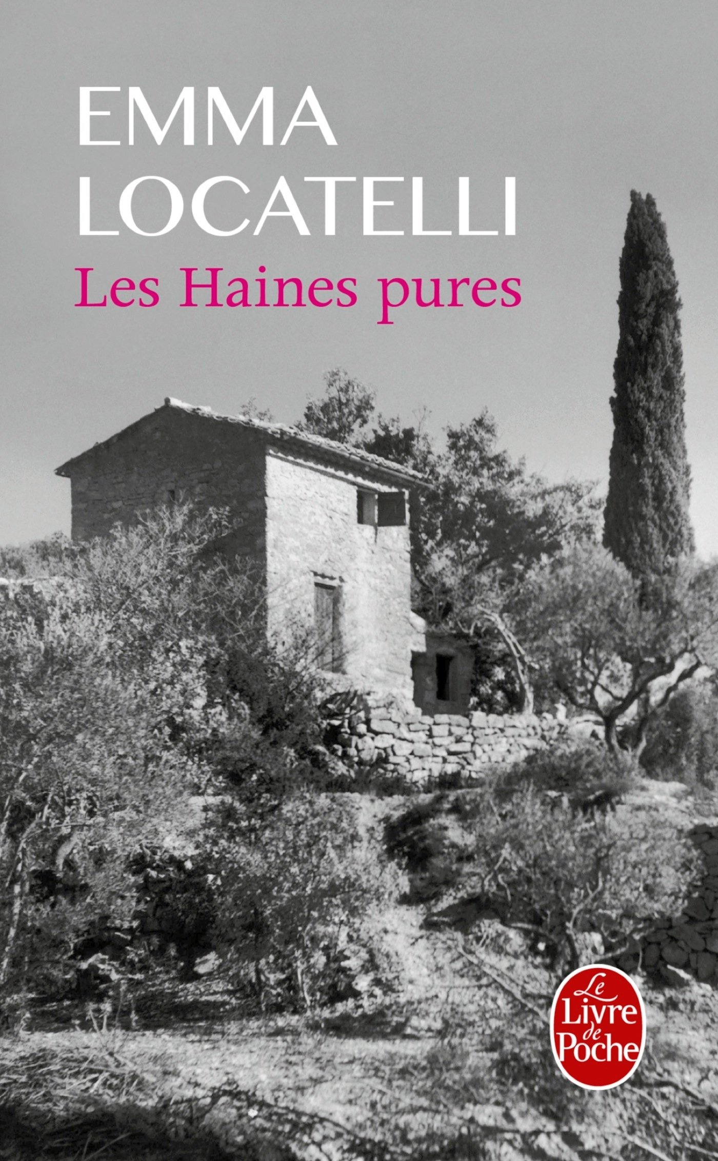 Les Haines pures (Littérature)