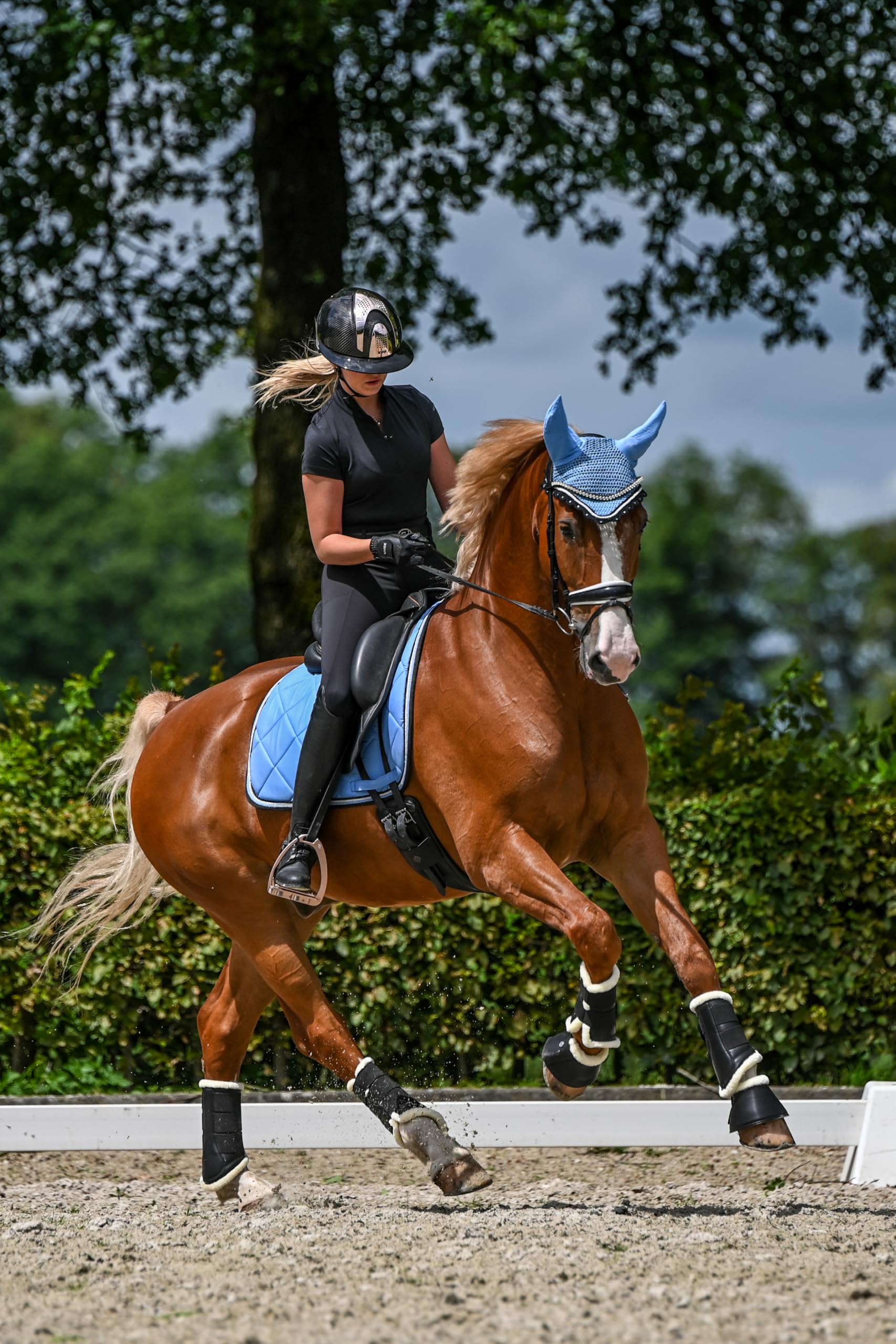 Wagner-Germany VS Schabracke mit Fliegenhaube und Strass-Steinen Babyblau