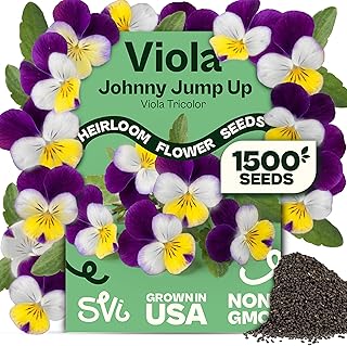 SVI 1500 Helen Mount Johnny Jump Up Seeds (Viola Tricolor) – Johnny-Jump-Up Wildflower Seed Packets, Violet...