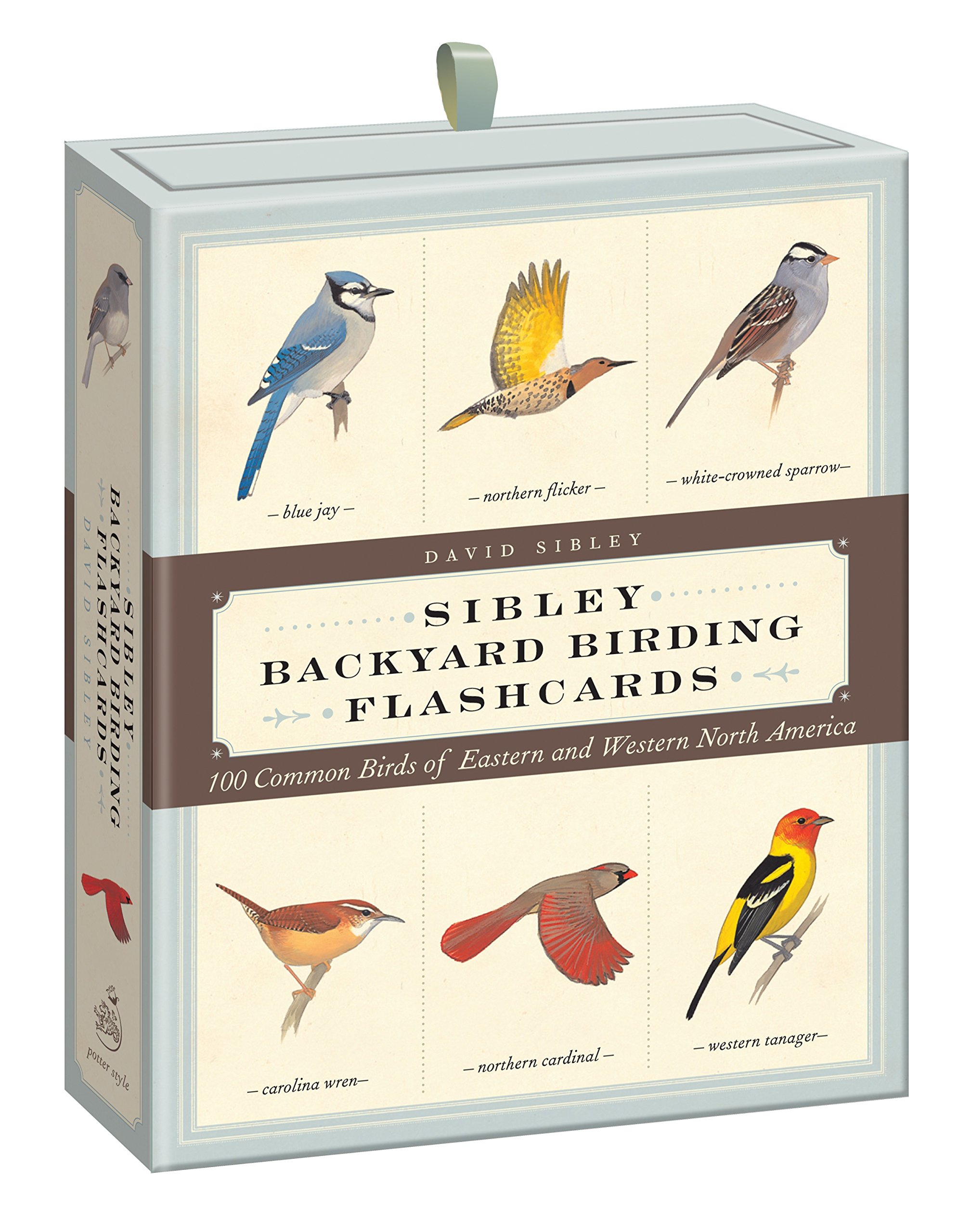 Sibley Backyard Birding Flashcards 100 Common Birds Of Eastern