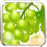 Clash App Shooter Free Games