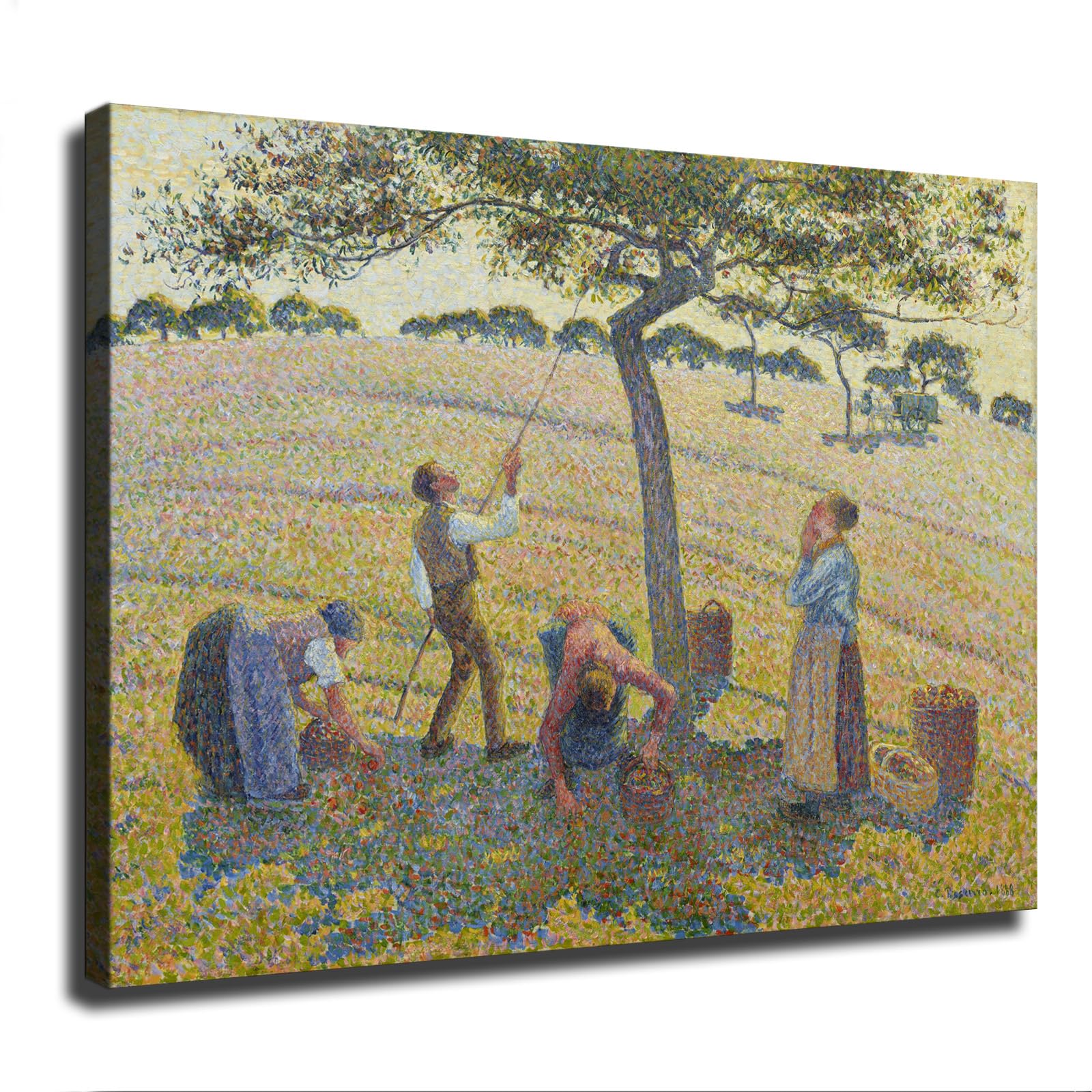 Amazon.com: Camille Pissarro Apple Harvest (Apple Picking At