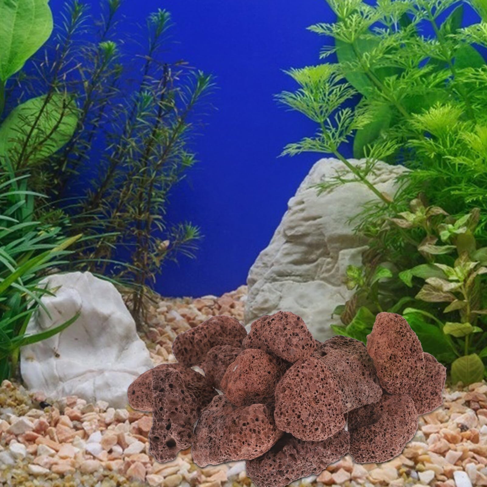 iplusmile Pierre De Lave Volcanique pour Aquarium 6X6X6 Cm Roche Volcanique Naturelle pour Filtration Et Décoration De Réservoir d'eau Douce Et Marine Support De Filtre Et Substrat Aquarium