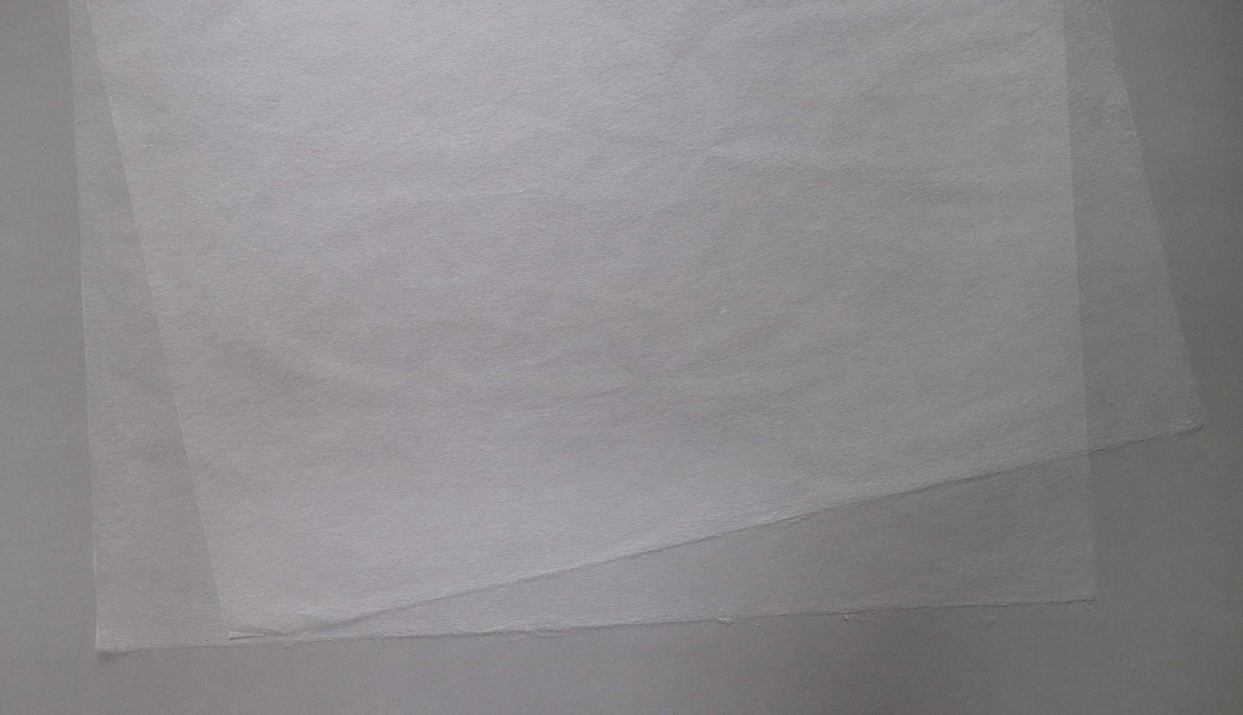 Amazon.co.jp: 典具帳紙 純こうぞ（楮）紙 白 極薄 : ホビー