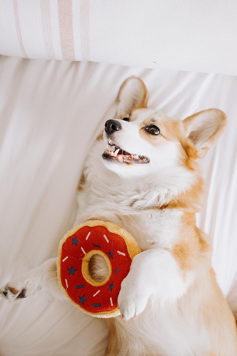ZippyPaws - 犬のおもちゃ ドーナツ - アメリカーナ