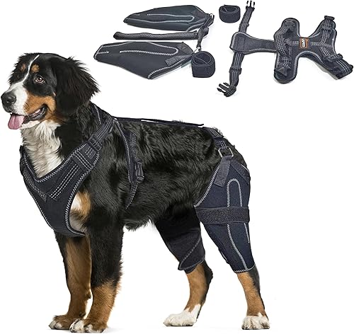 Rodillera para perro ACL soporte para patas traseras para perros lesionados, soporte ajustable para piernas de perro para estabilidad de la pierna