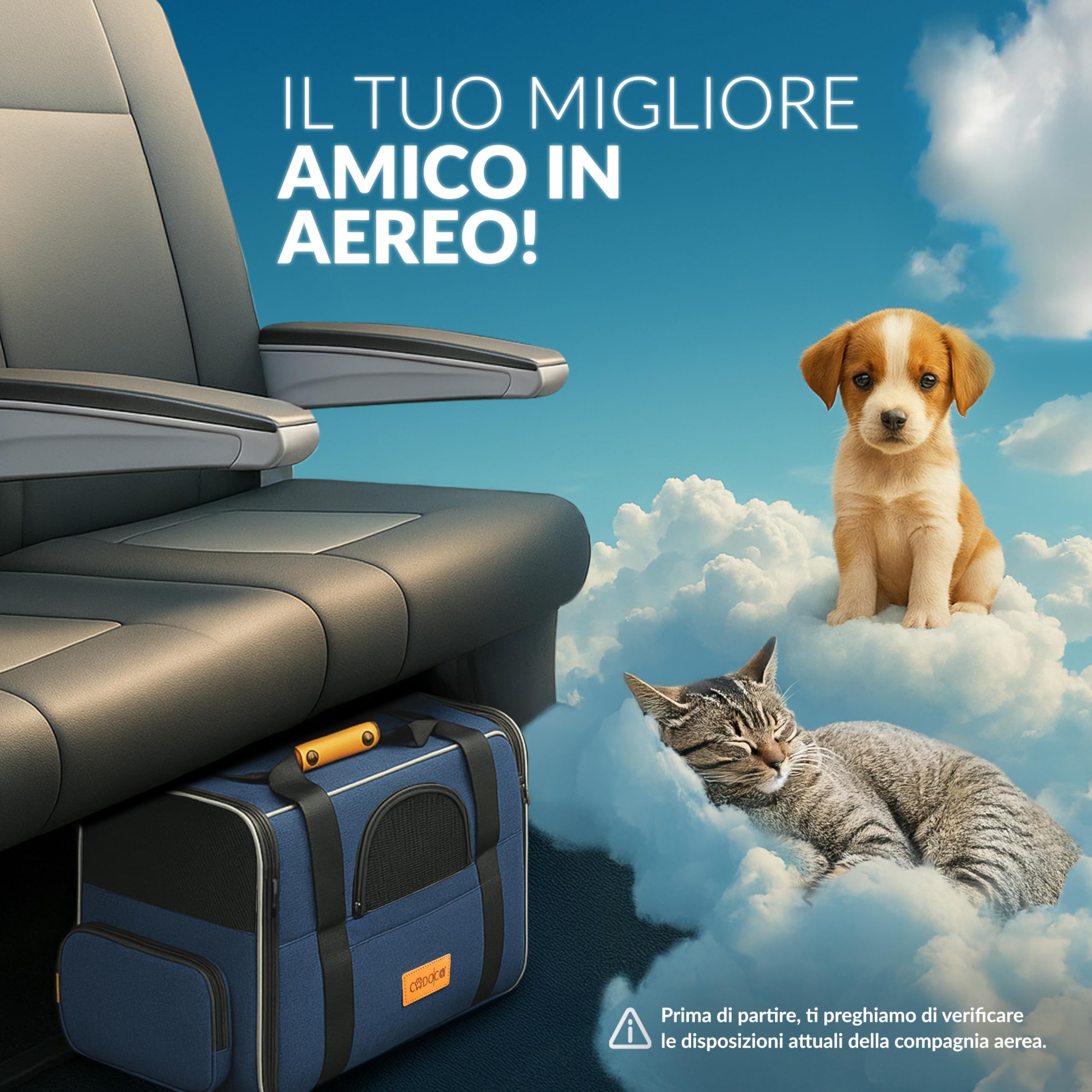 CADOCA® Trasportino Gatto Cane Auto Borsa Animali Tracolla e Ciotola Zaino per Cani Cuccia Gatti Viaggio Macchina Box per Trasporto Diversi Colori