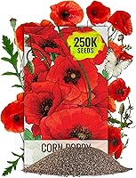 Vista 10 de Seed Needs 1000+ semillas de flor de caléndula para plantar variedad Pink Surprise Caléndula officinális anual no transgénica Flores
