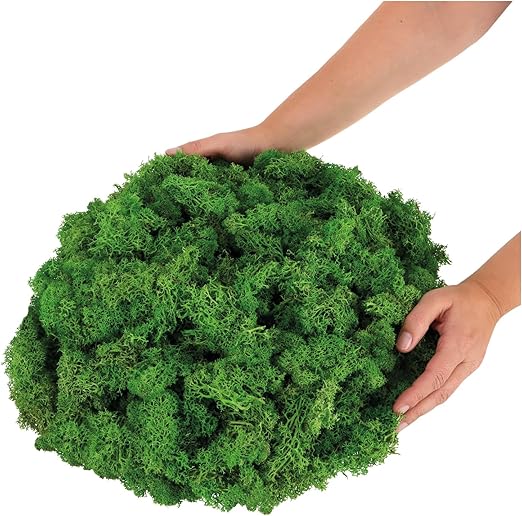 com-four® 500g Deko-Moos - DIY Bastel-Moos - echtes Deko-Moos zum ...
