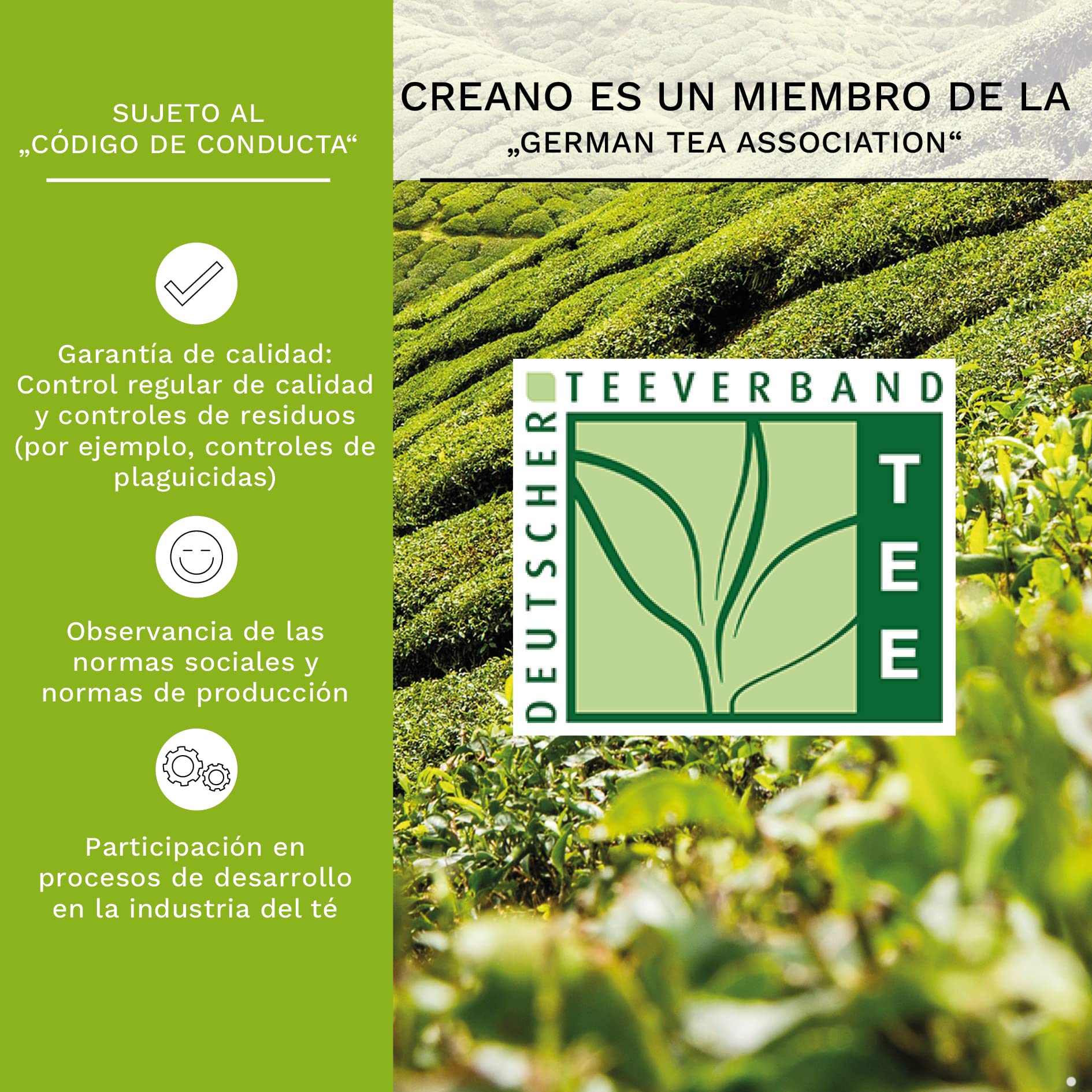 Creano Flores de Té Verde 12 uds – Cofre de Madera Premium – 6 Variedades de Té Verde Frutal – Regalo Elegante para Amantes del Té