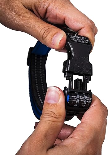 Miniatura 4 de Collar de perro de nailon  Reflectante  Franklin Pet Supply Co  Ajuste cómodo  Neopreno  Ajustable  Pequeño  Azul