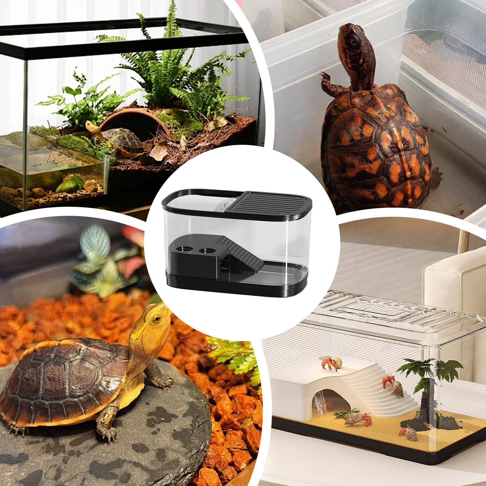 Zbiornik typu terrarium dla gadów Klatka i obudowa gadów
