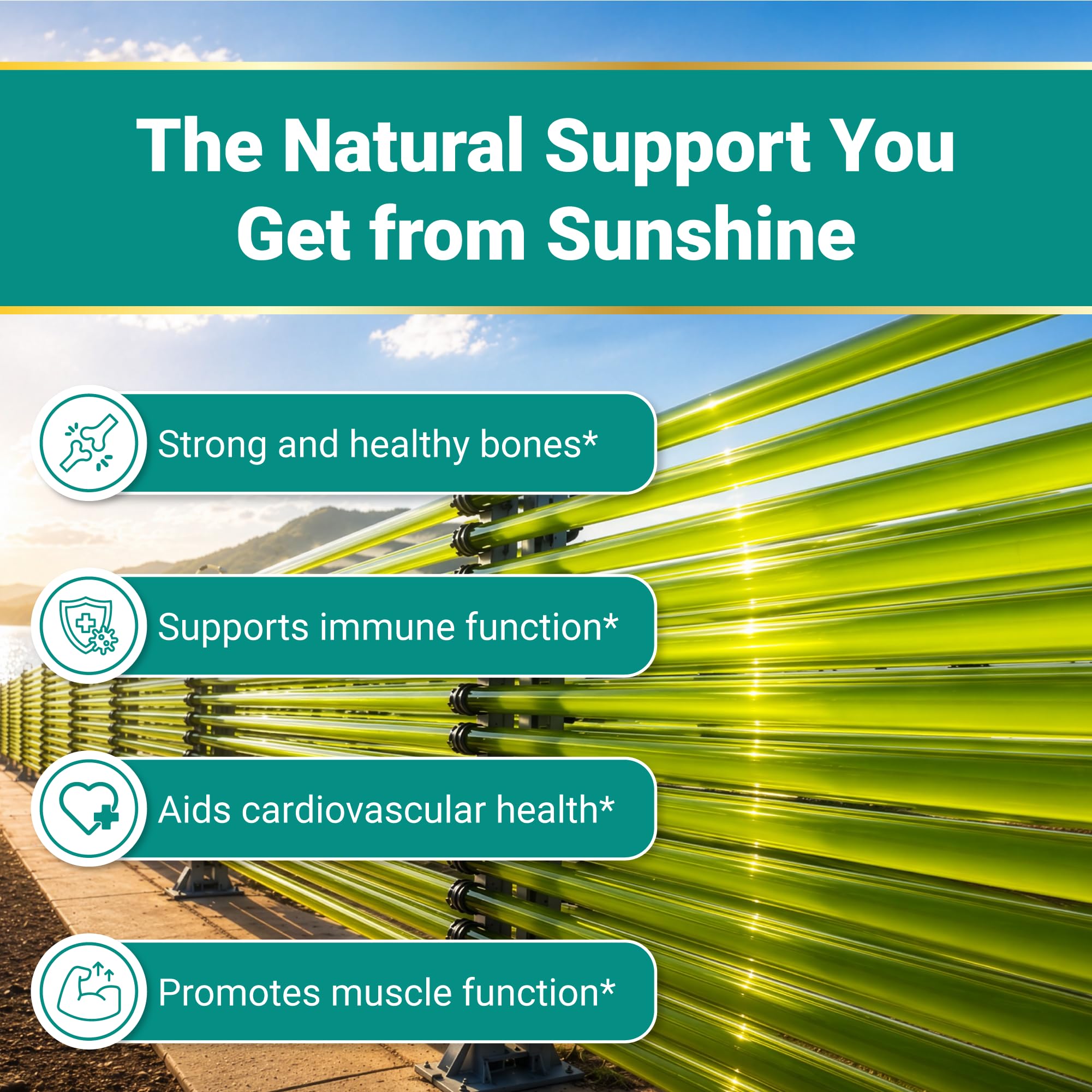 Naturalis Vegan D3 50mcg (2000IU) 180 Softgels | Bone & Immune Support* — Amazon image 5