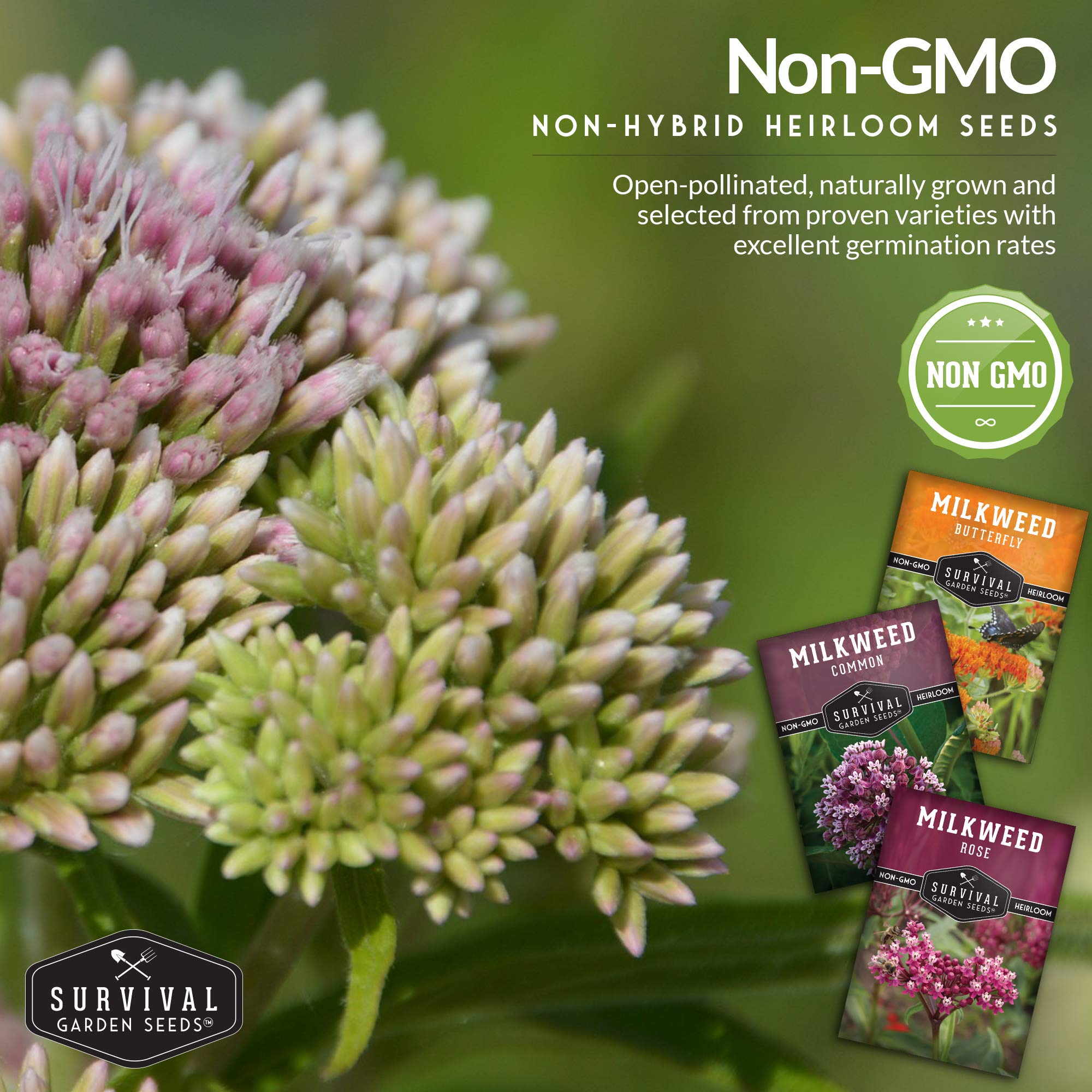 Amazon.com: Survival Garden Seeds Milkweed Collection 種子庫-  蝴蝶乳草、常見乳草和玫瑰(沼澤)乳草適合君主的非基因改造傳家寶種子,可在授粉花園種植和種植: